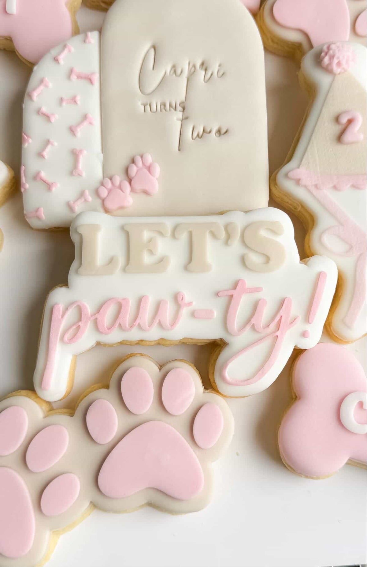 Lets Pawty