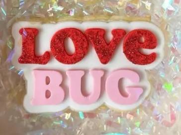 Love Bug Cookie Stamp & Cutter
