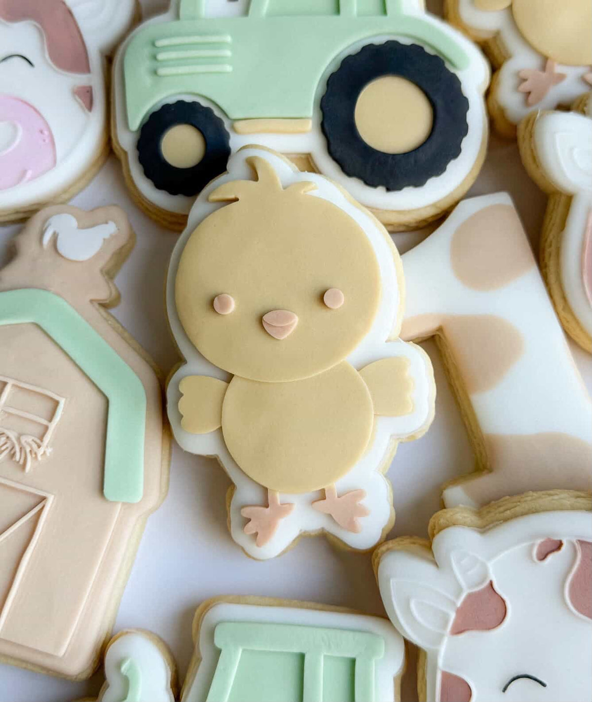 Chick Cookie Stamp & Cutter